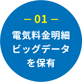 電気料金明細ビッグデータを保有